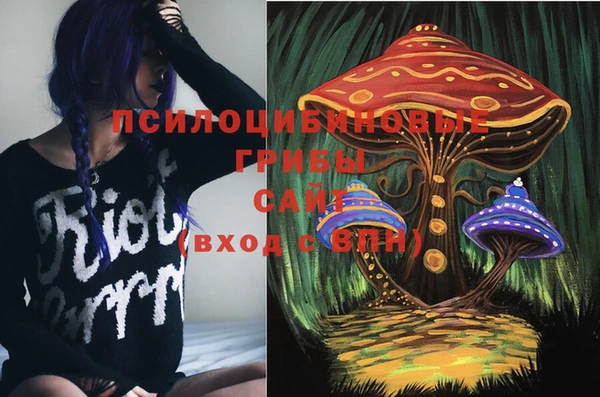 jwh Ельня