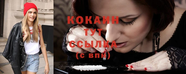 амф Елизово