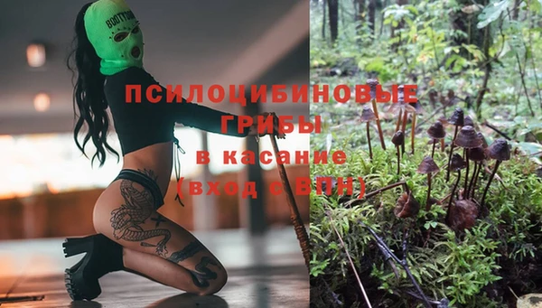 jwh Ельня