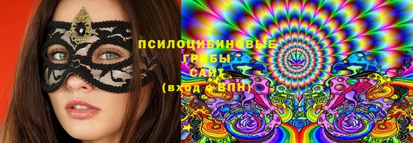 прущая мука Елабуга