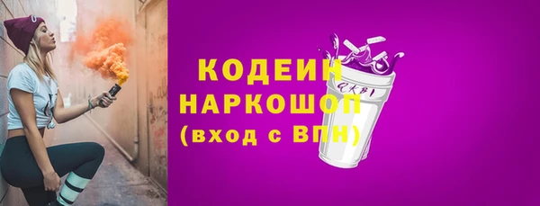 амф Елизово