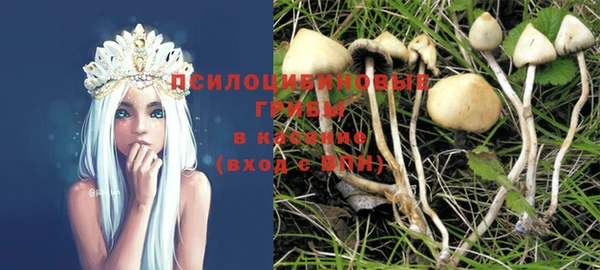 jwh Ельня