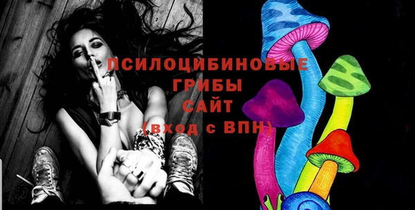 амф Елизово