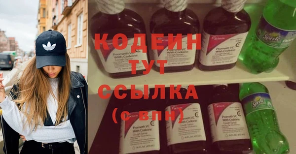 амф Елизово