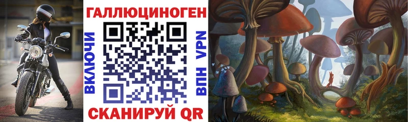 Галлюциногенные грибы мицелий  Купить закладки  Котельники 